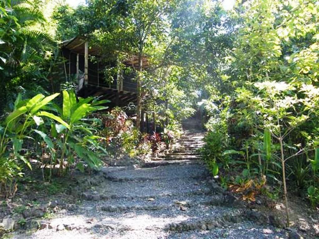 Blue Jay Lodge Paquera Esterno foto