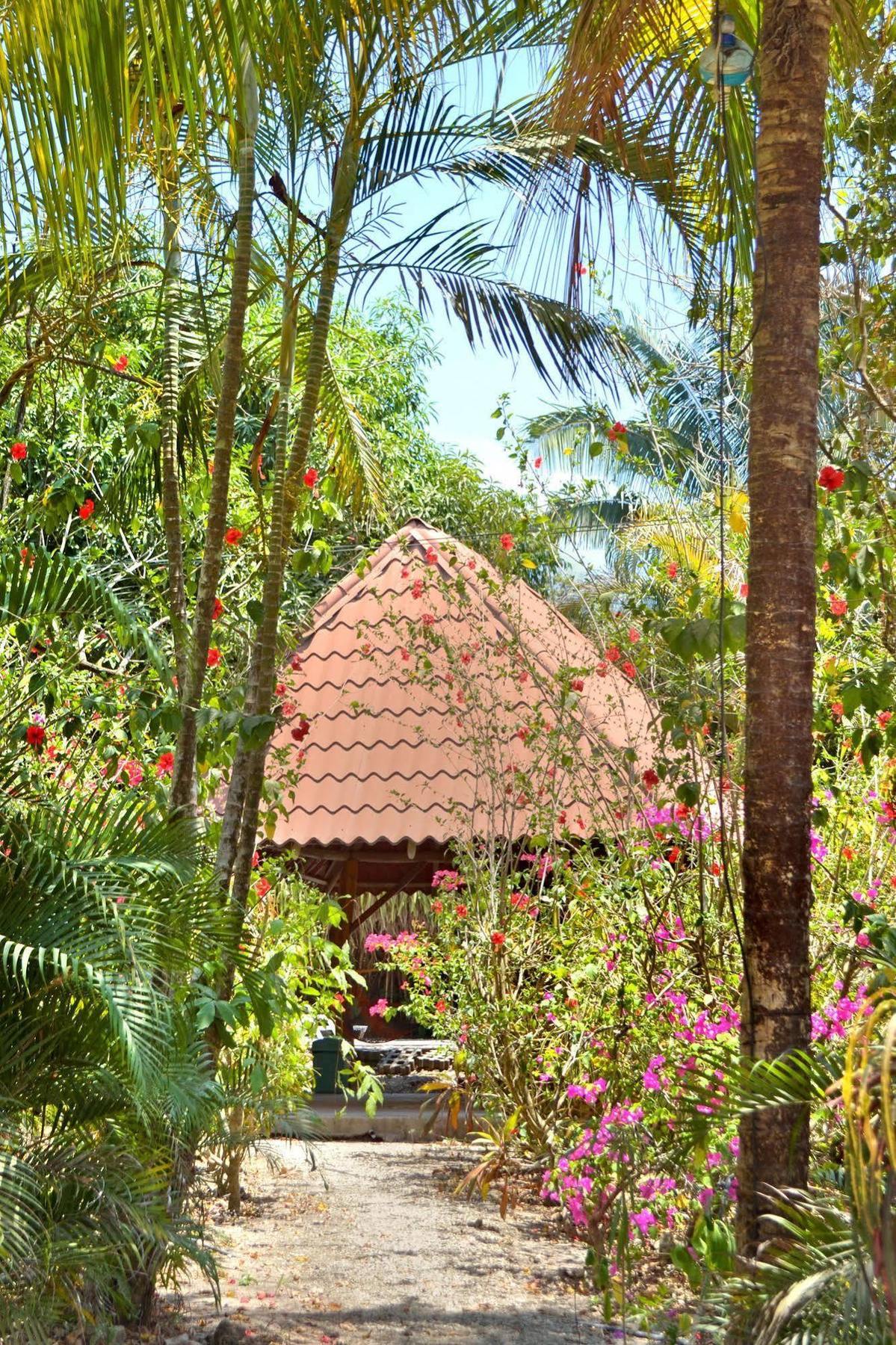 Blue Jay Lodge Paquera Esterno foto